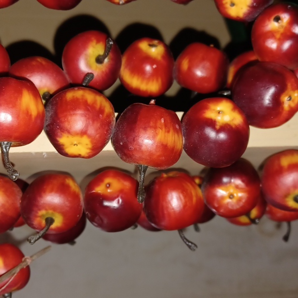 12 feet of 🍎 Apples 🍎